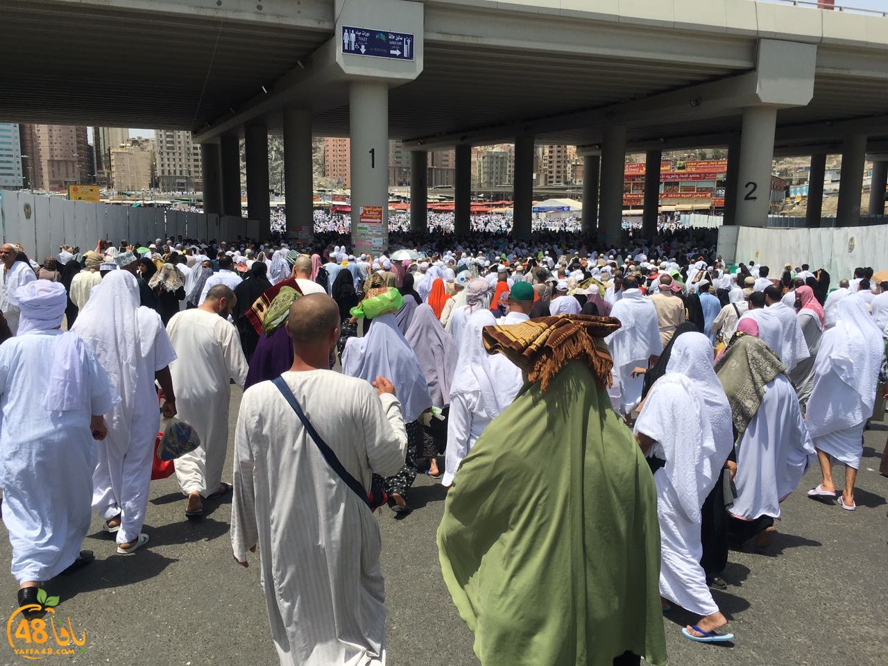 lud ramla mo3tmeren (3).jpg